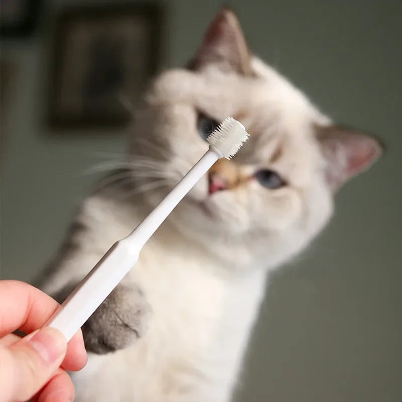 Pet Toothbrush & Dental Care Set
