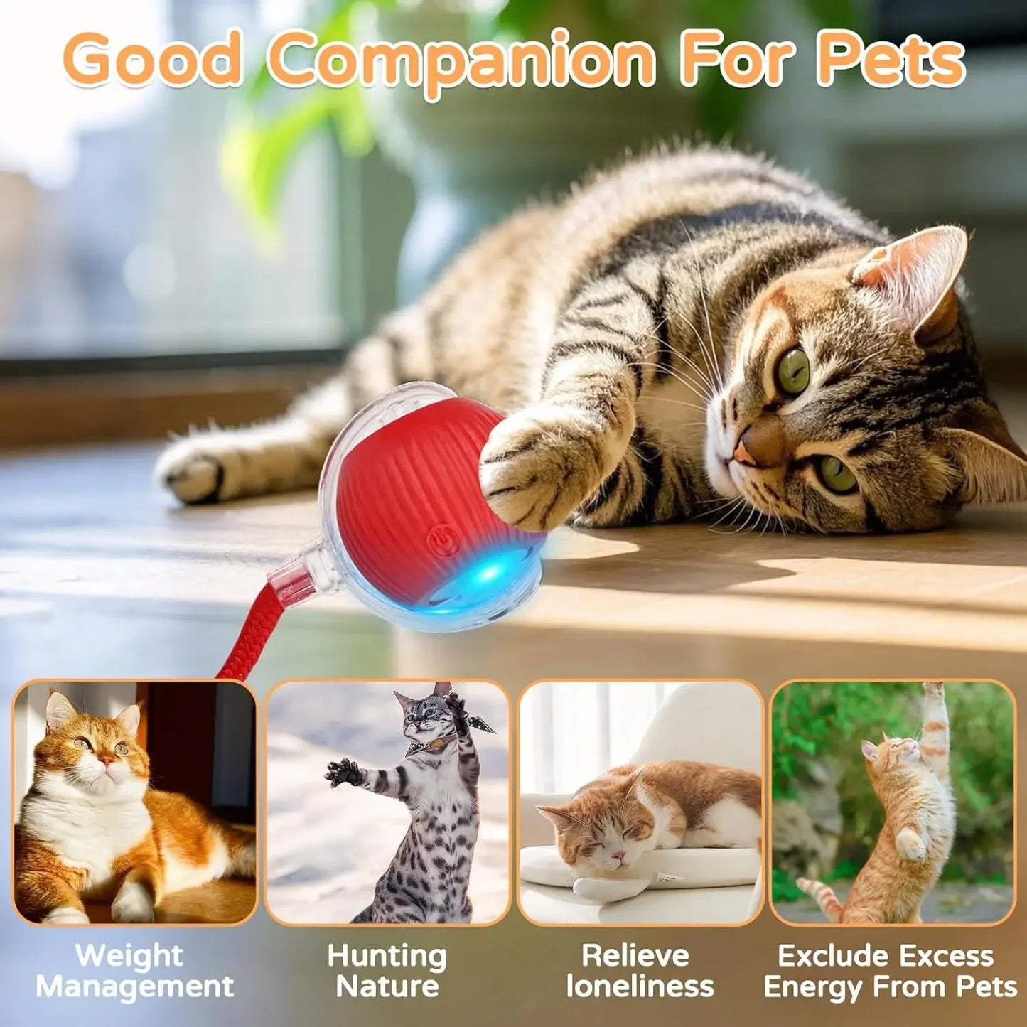 Interactive Rolling Ball — Smart Pet Toy