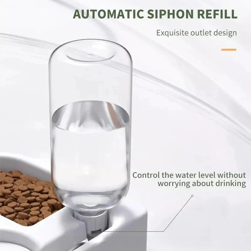2-in-1 Pet Feeding & Water Bowl