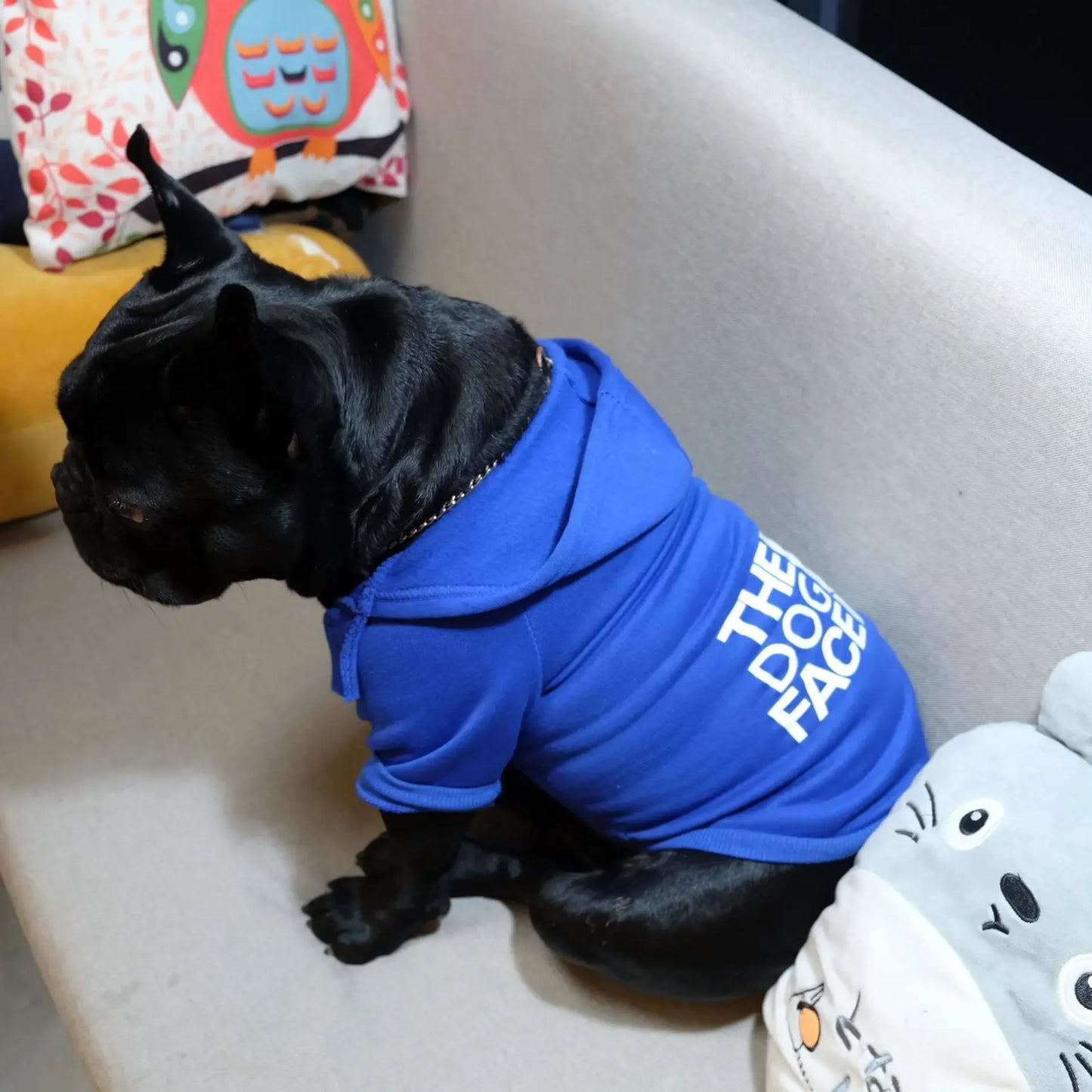 Dog Hoodie — Cosy Winter Jacket for Dogs