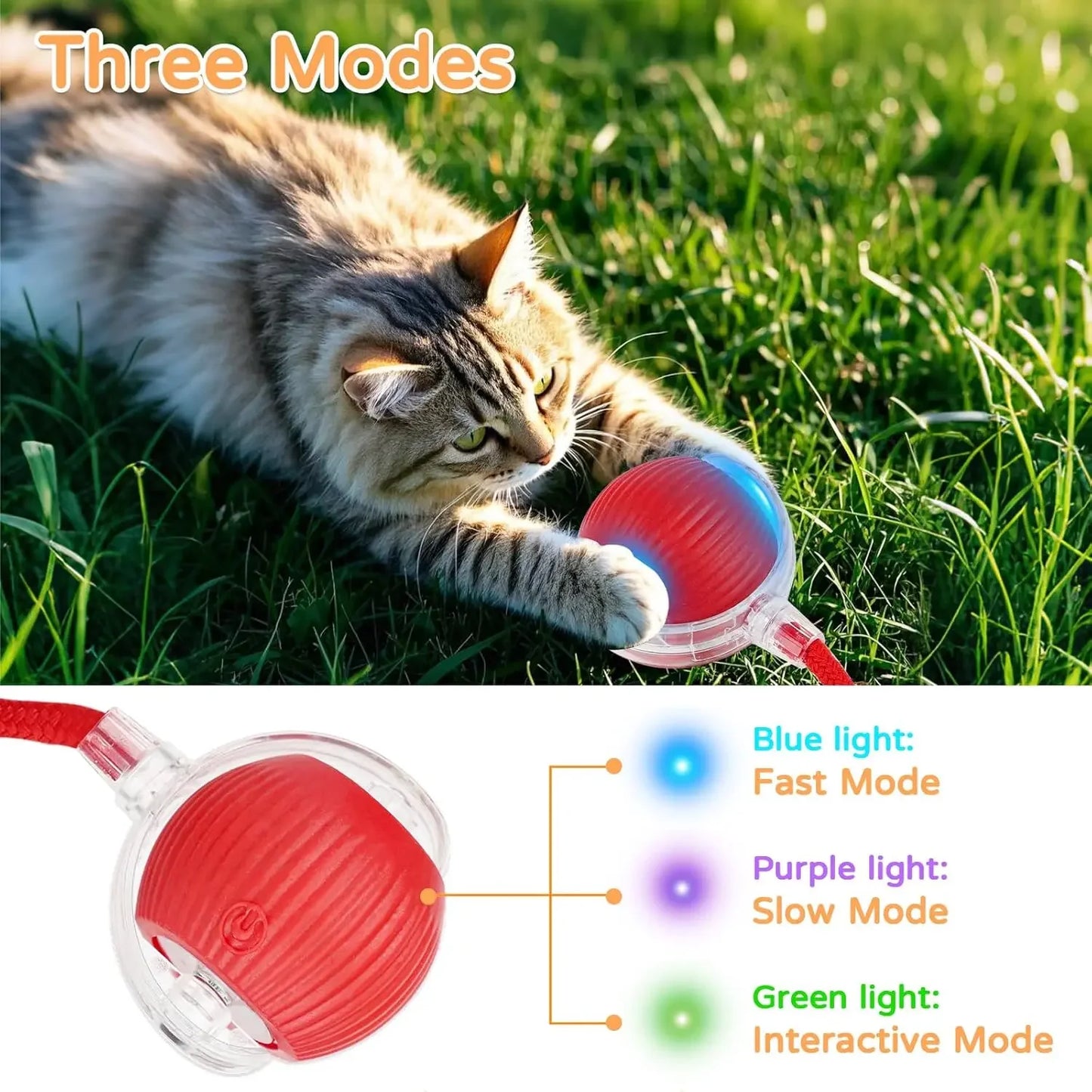 Interactive Rolling Ball — Smart Pet Toy