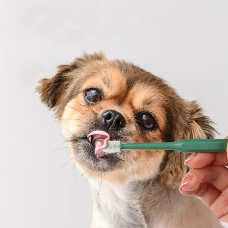Pet Toothbrush & Dental Care Set