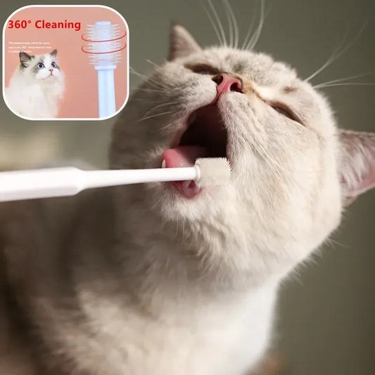 Pet Toothbrush & Dental Care Set